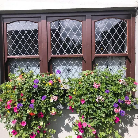 Отель Chester Beatty 3*