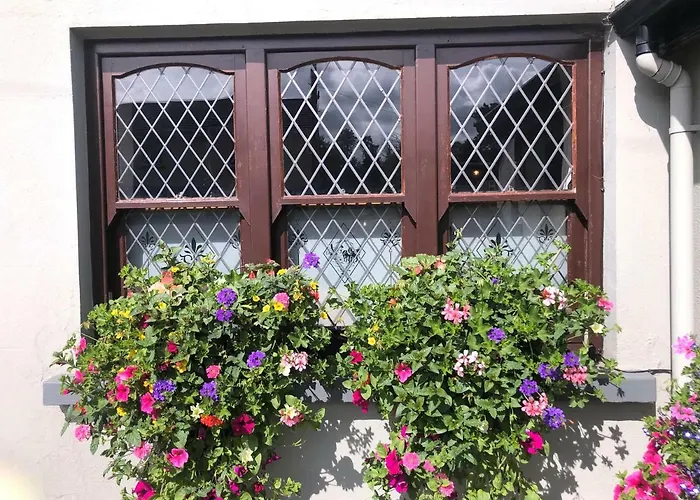 Hotel Chester Beatty 3*